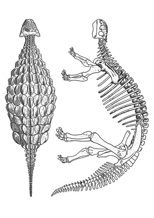 dinosaurio - ankylosaurus