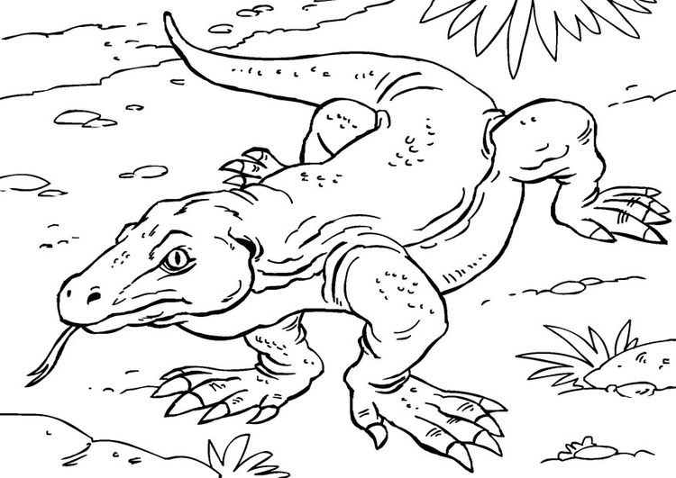 Dibujo para colorear dragÃ³n de Komodo