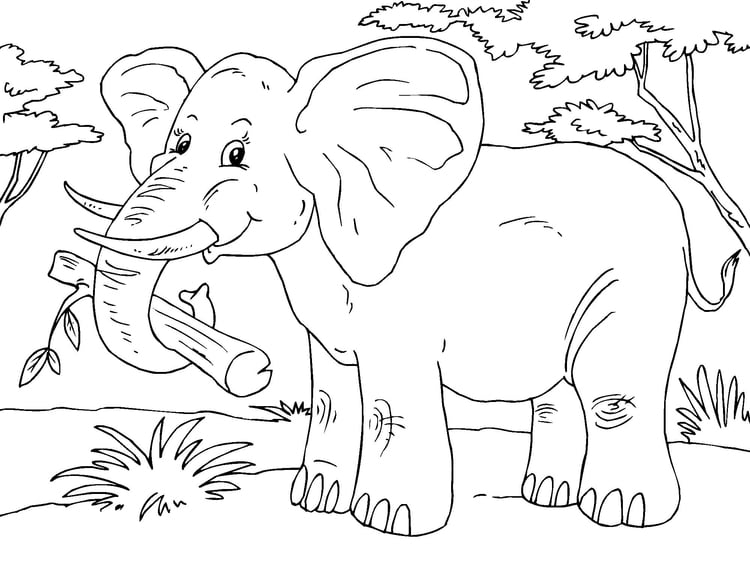 Dibujo para colorear elefante