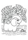 Dibujo para colorear Elefante