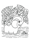 Elefante