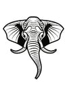 elefante