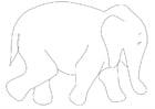 Dibujo para colorear Elefante