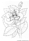 Elfo