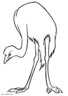 Emú