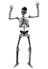 Dibujos para colorear esqueleto