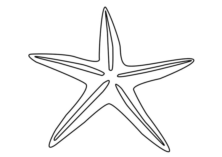 Dibujo para colorear estrella de mar