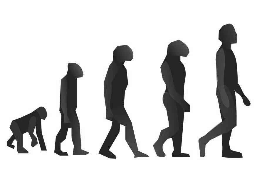 Dibujo para colorear EvoluciÃ³n
