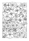 Dibujo para colorear flor de capuchina