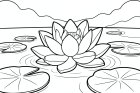 flor de loto