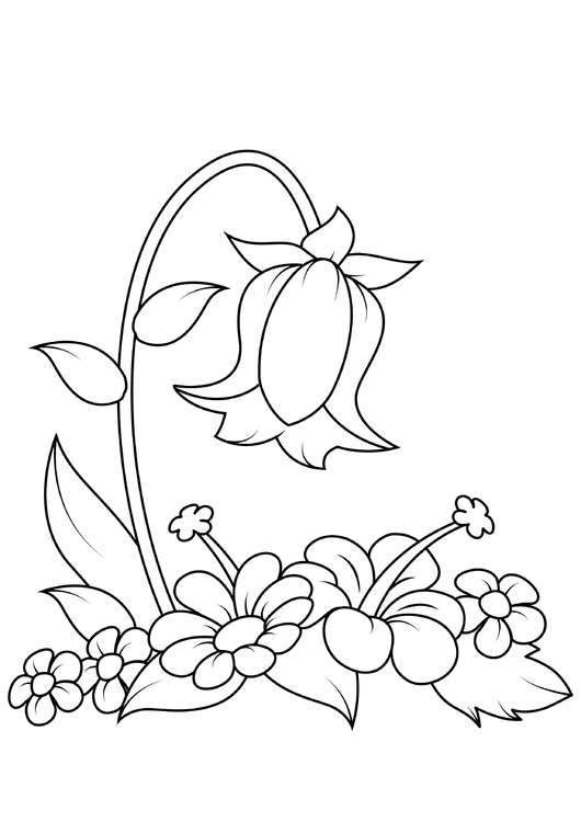 Dibujo para colorear flor