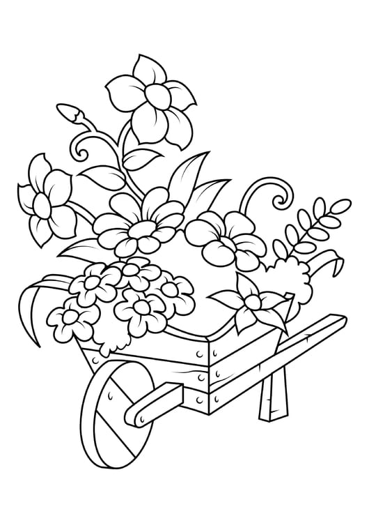 Dibujo para colorear flores en carretilla