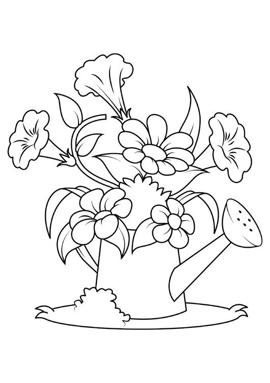 Dibujo para colorear flores en regadera