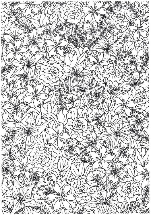flores