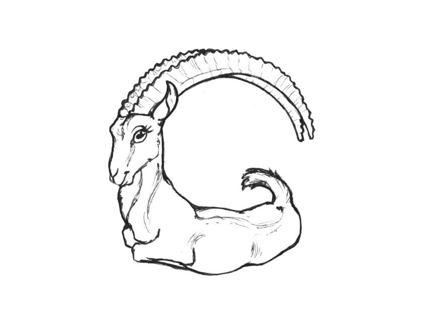 Dibujo para colorear g-goat