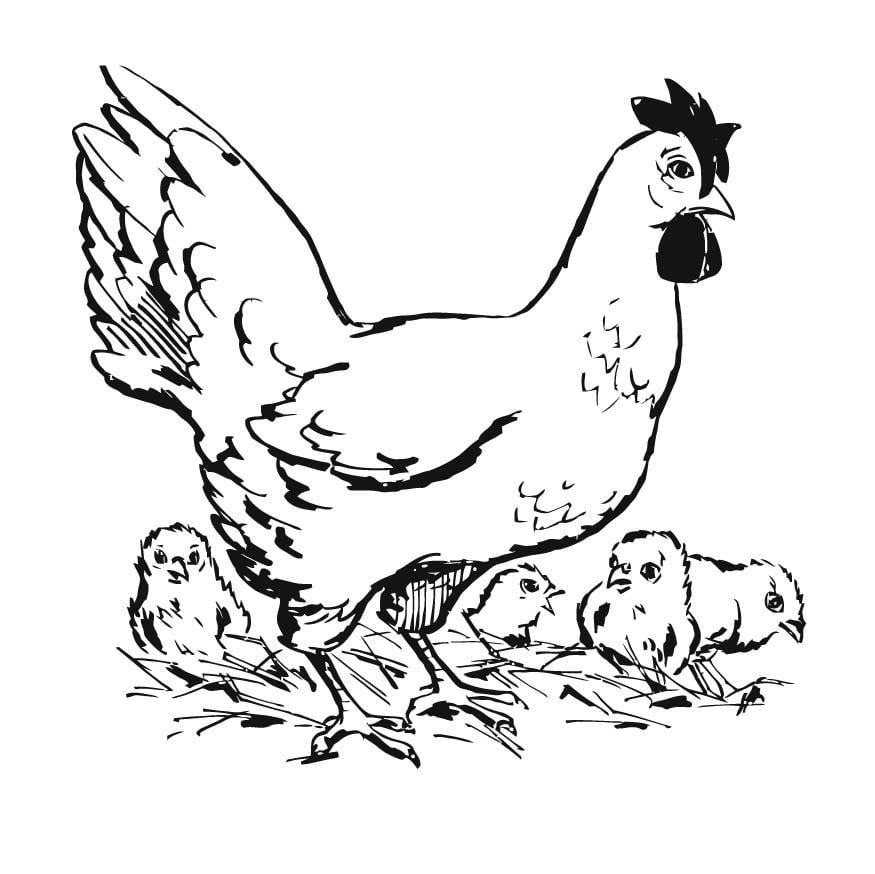 Dibujo para colorear Gallina con pollos