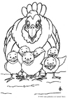 Dibujo para colorear gallina y polluelos