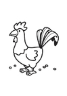 dibujo-para-colorear gallo