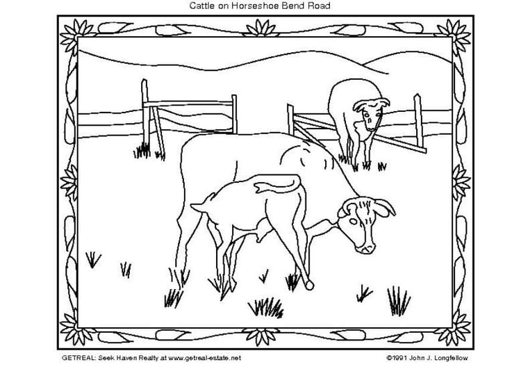 Dibujo para colorear Ganado americano - Dibujos Para Imprimir Gratis - Img 5750 Dibujo para colorear Ganado americano - Dibujos Para Imprimir Gratis - Img 5750