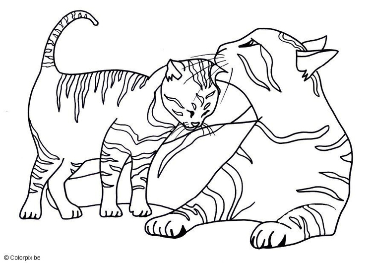 Dibujo para colorear Gatitos