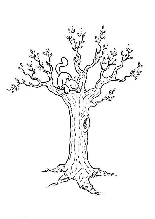 Dibujo para colorear Gato en árbol - Dibujos Para Imprimir Gratis - Img 8179