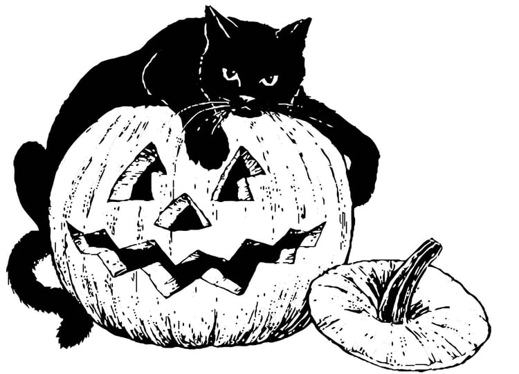 Dibujo para colorear Gato negro sobre calabaza