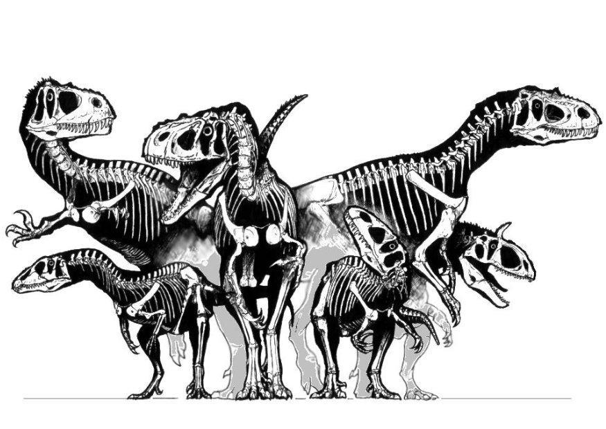 Dibujo para colorear Grupo de esqueletos de dinosaurios