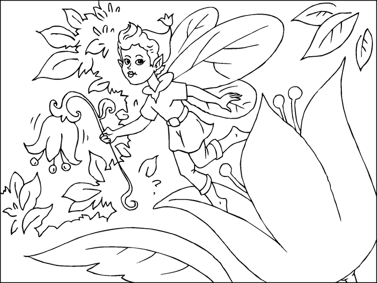 Dibujo para colorear hada