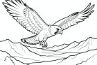 halcón