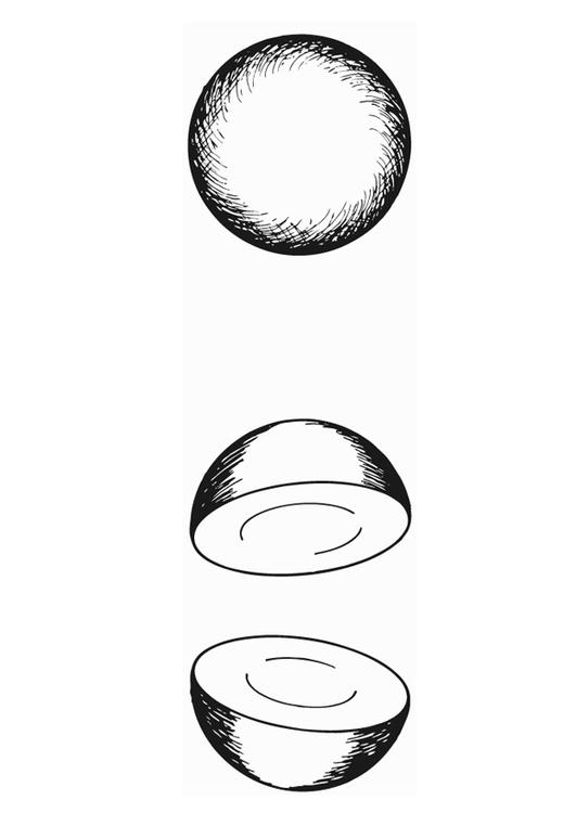 Hemisferio - semicircular