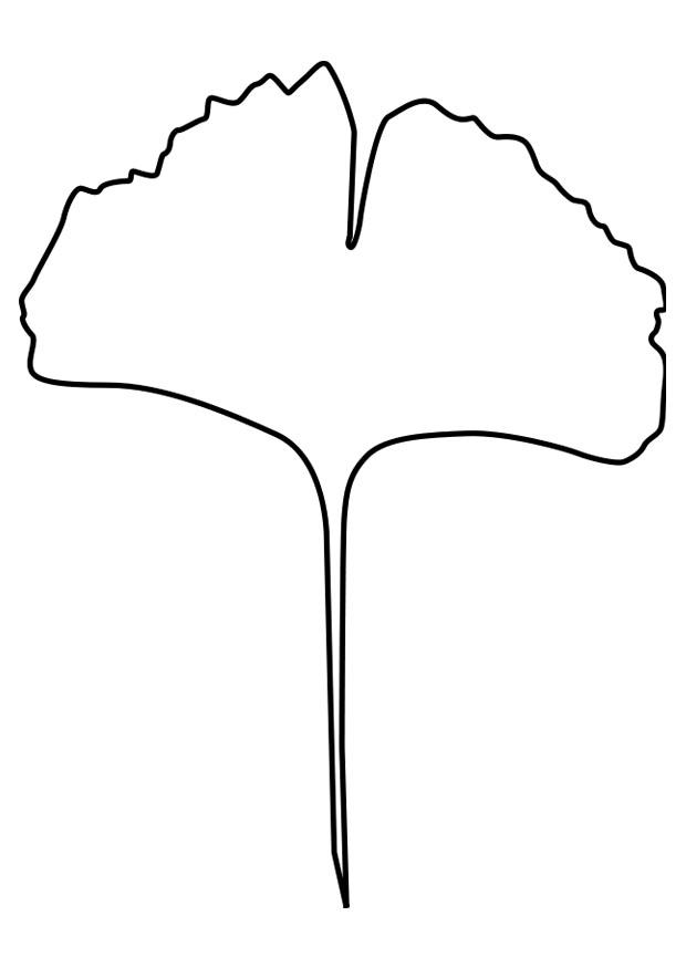 Dibujo para colorear hoja de ginko - Dibujos Para Imprimir Gratis - Img