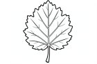 hoja