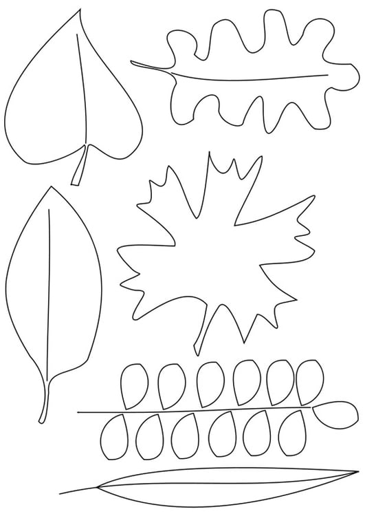 Dibujo para colorear hojas
