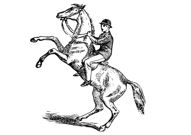Dibujo para colorear hombre sobre caballo