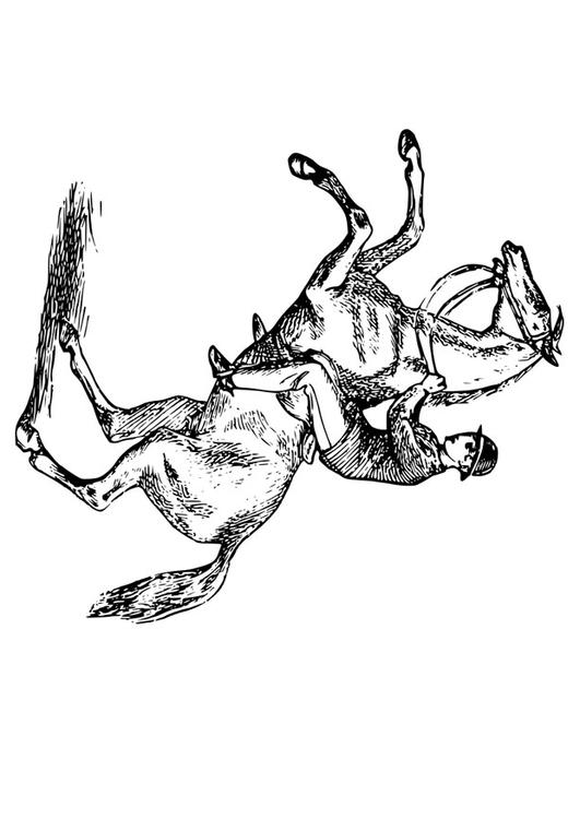 hombre sobre caballo