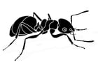 Dibujos para colorear hormiga