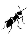 Dibujo para colorear hormiga