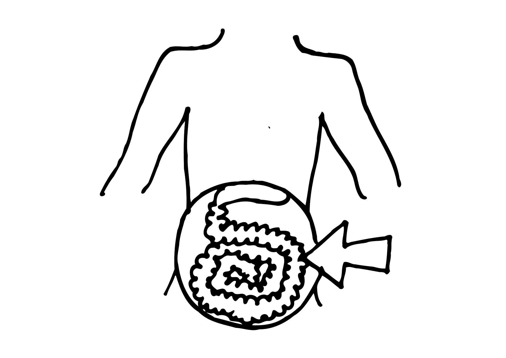 Dibujo de Intestinos Para Colorear - Img 11852