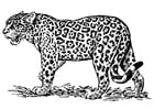 Dibujos para colorear jaguar