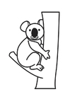 dibujo-para-colorear koala