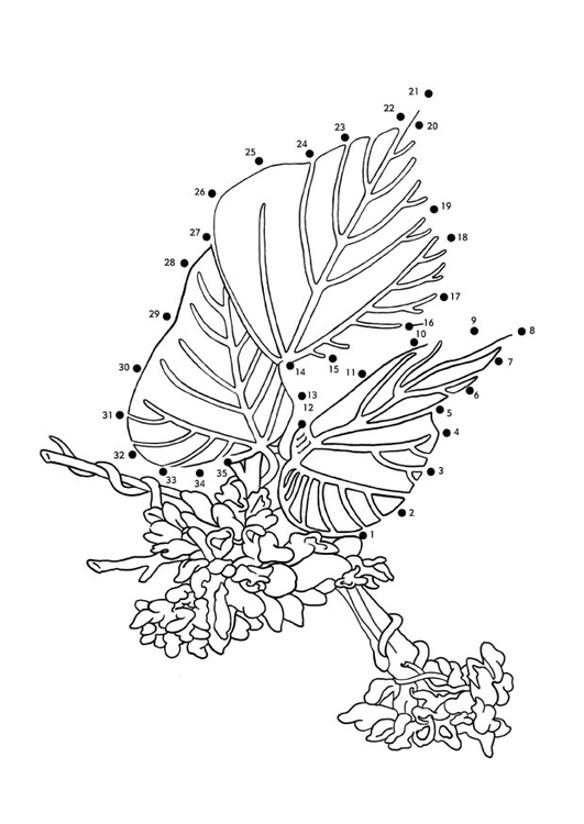 Dibujo para colorear Kudzu