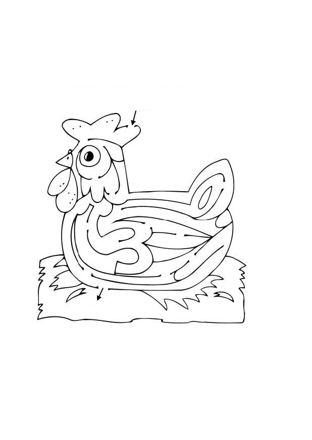 Dibujo para colorear Laberinto de gallina