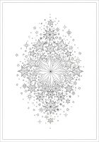 las estrellas brillan