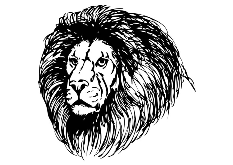 Dibujo para colorear leÃ³n