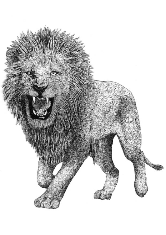 Dibujo para colorear LeÃ³n