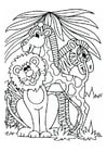 Dibujos para colorear León, jirafa y cebra
