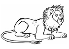 León