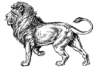 león