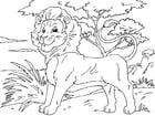 Dibujos para colorear león