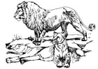 Dibujos para colorear león y leona